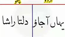 Learn Pashto into Urdu language | lesson # 56
