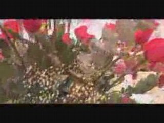 Best Western Village Park Inn Video Tour