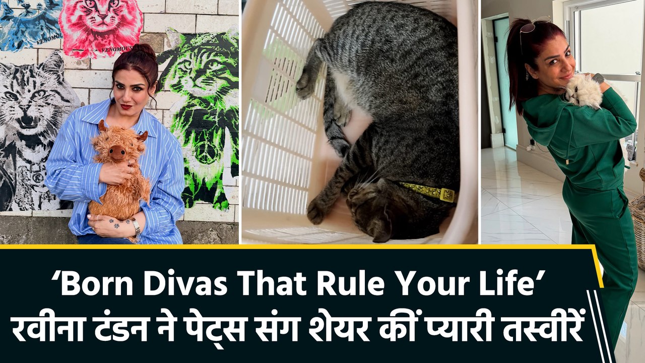 International Cat Day पर Raveena Tandon ने शेयर कीं पेट्स संग खूबसूरत तस्वीरें!