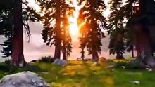 Hidden Lakeside Sunset Cabin _ Cozy Nature Retreat _ Relaxing Cinematic ASMR #shorts