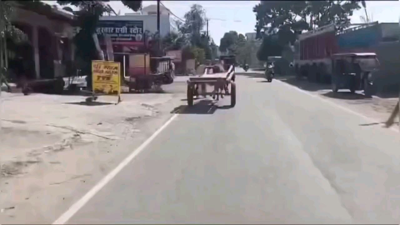Horse out of control