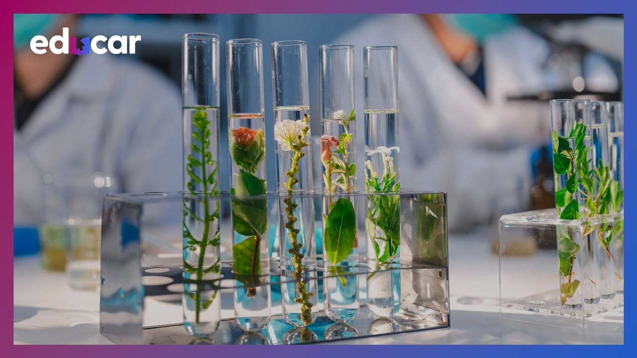 ENEM 2024: Correção Biologia