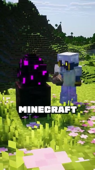 3 SECRETS sur Minecraft 😎