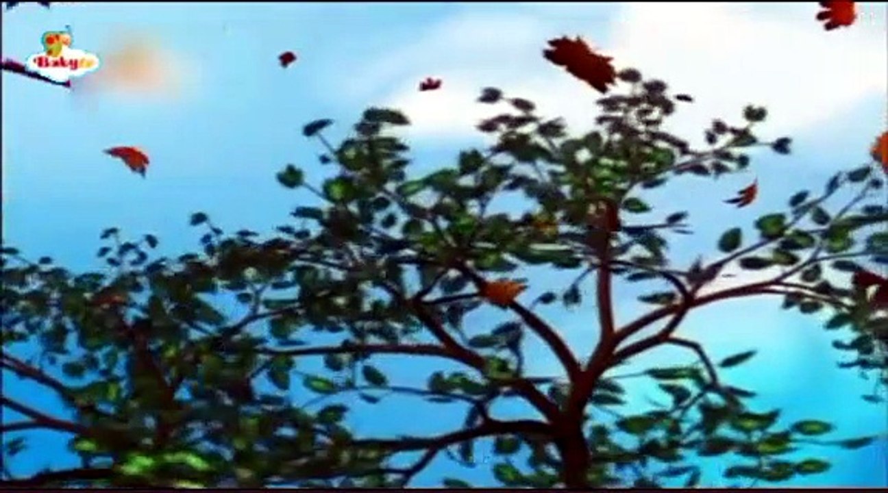 Baby tv magic lantern wind @Karl February (Credit by iadcs1)