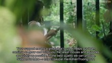 In Love Forever Ep 8 Eng Sub