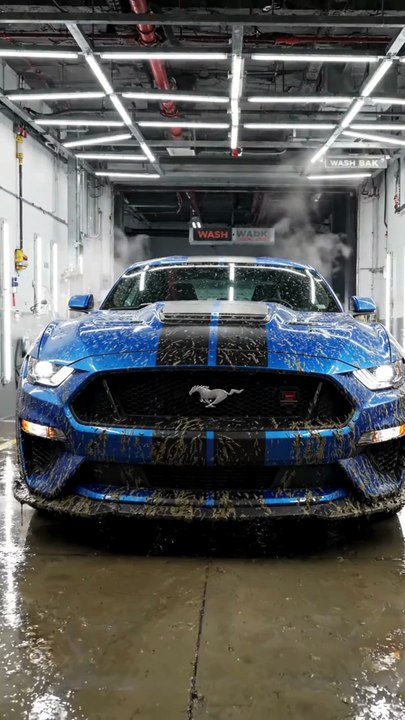 Ford Mustang Shelby GT500 Wash Transformation 🔥 | Supercharged V8 Roar