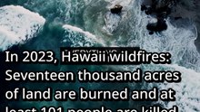 The Tragic End of Hawaii wildfires: Seventeen thousand acres of land are (2023)