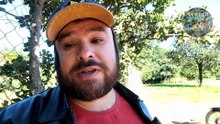 Começando do Zero nos Leilões de Veículos: Renda Extra ou Prejuízo? (4 Dicas de Segurança)