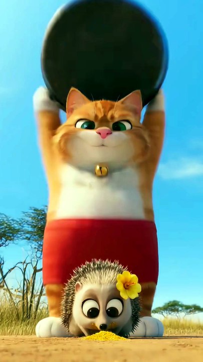 Funnycat🤣