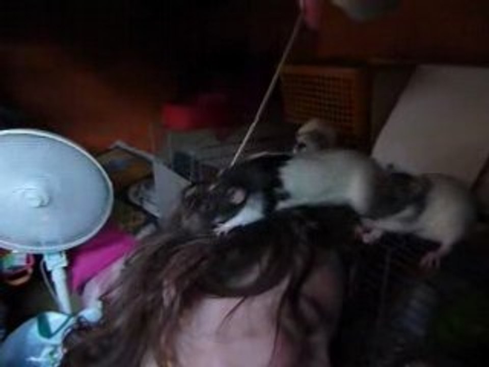 pitchounette la coiffeuse