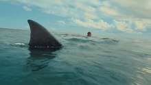 The Bay ganzer film】» auf deutsch gratis