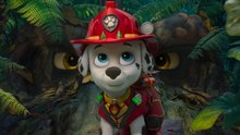 PAW Patrol: Der Dino Film [2026] 【ganzer film】» auf deutsch 【kostenlos】