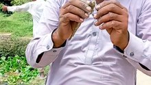 Release small fish