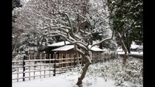 Tokyo National Museum: Snow has fallen in the Japanese garden north of the Main Building