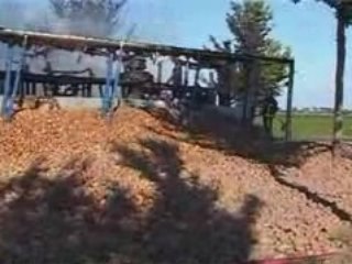 Vrachtwagen kantel en brandt uit Den Bommel