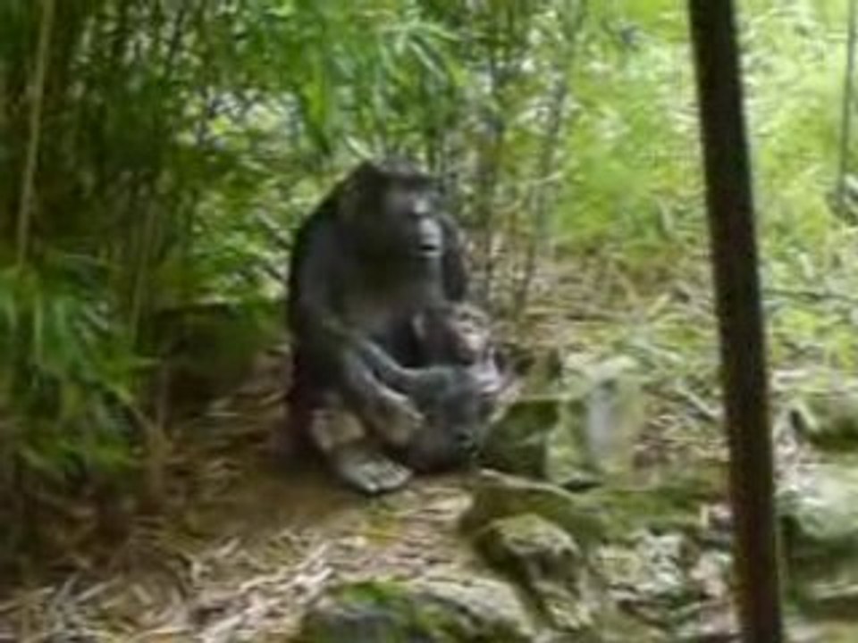CLIP0093