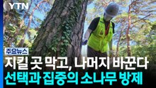 지킬 곳은 막고, 나머지는 바꾼다...선택과 집중의 방제 / YTN