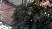 Rain Sound Effects 2
