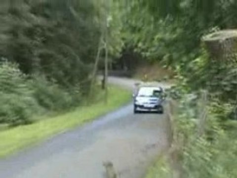 Course de cote de St-Geniez D'olt 2008 2