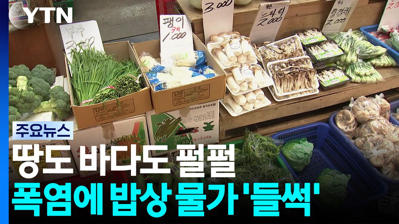 땅도 바다도 펄펄...폭염에 밥상 물가 '들썩' / YTN