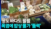 땅도 바다도 펄펄...폭염에 밥상 물가 '들썩' / YTN