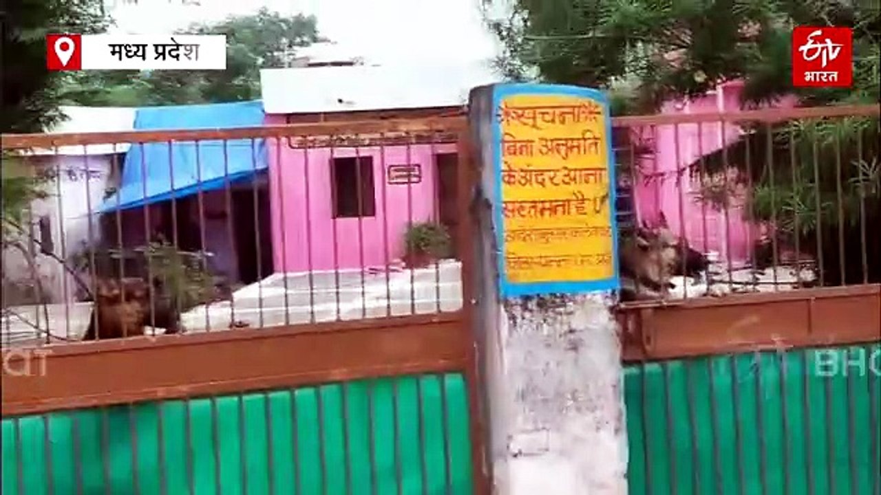 पन्ना के गर्ल्स हॉस्टल में जर्मन शेफर्ड कुत्तों का खौफ, छात्राओं को आने जाने के लिए करना पड़ता है इंतजार