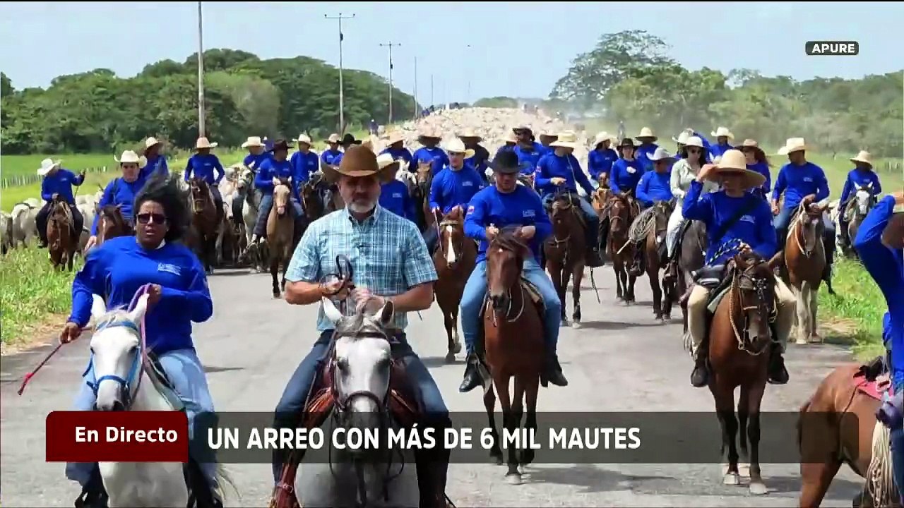 Celebran arreo de más de 6 mil mautes en el estado Apure