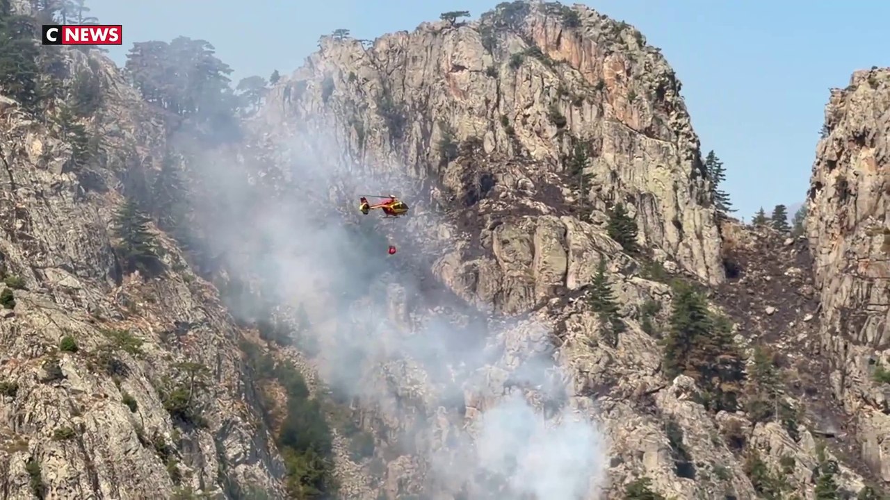 Corse : le travail colossal des pilotes face aux incendies