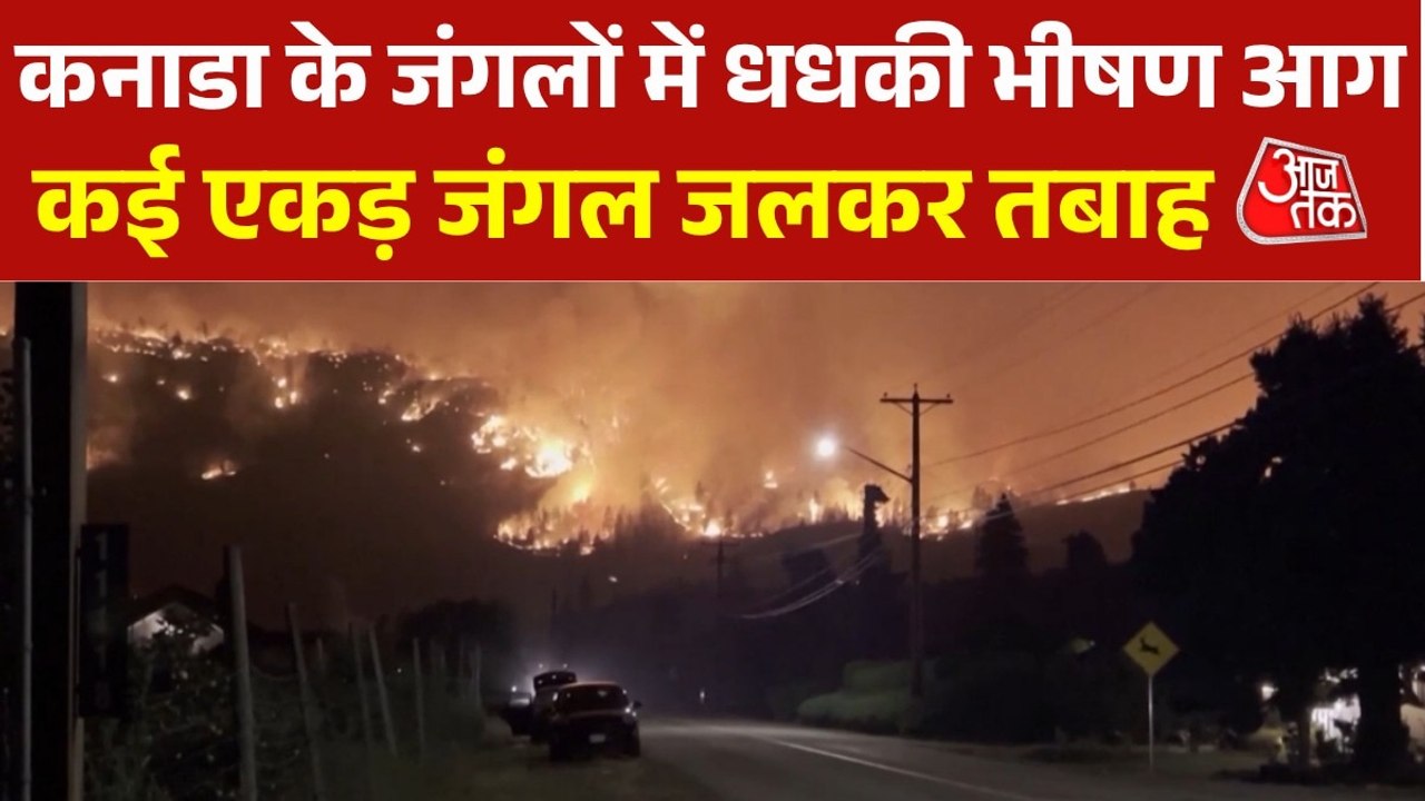 कनाडा के जंगलों में लगी भीषण आग, अबतक करीब 24 हजार एकड़ जंगल जलकर खाक