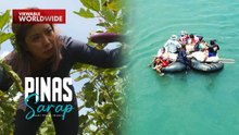 Kara David, nagpaanod sa ilog ng Pantabangan para hakutin ang mga naani na talong! | Pinas Sarap