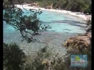 jet ski porticcio location jet en corse rive sud nautique