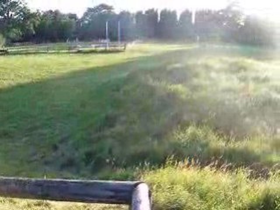 Cross in DCS