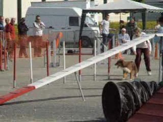 agility DOIX CEZAIS
