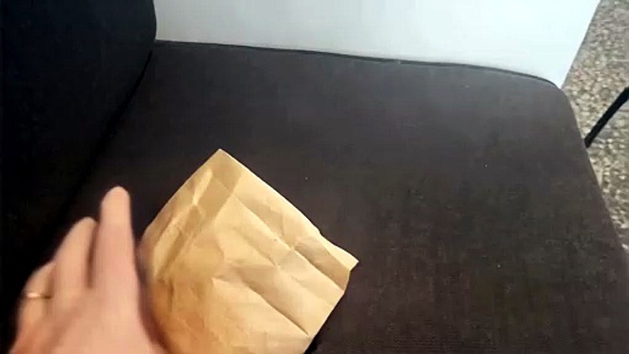 小袋の中の赤ちゃん白くま