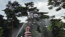 충남 보령 캠핑장 일가족 7명 벌에 쏘여 병원 이송 / YTN