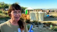 Conservationists tag 600 flamingo chicks in Spanish lagoon