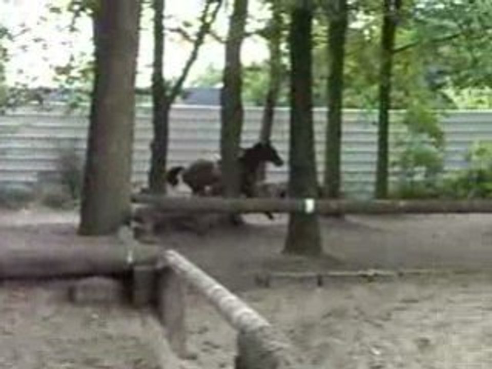 Entraînement Lamotte