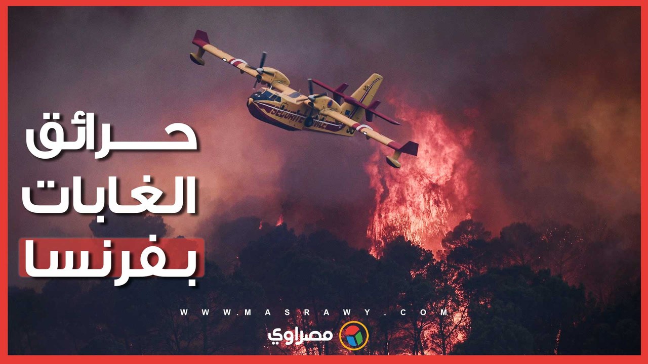 كيف تسببت أعقاب السجائر في إشعال الغابات وتوقيف المئات في فرنسا؟