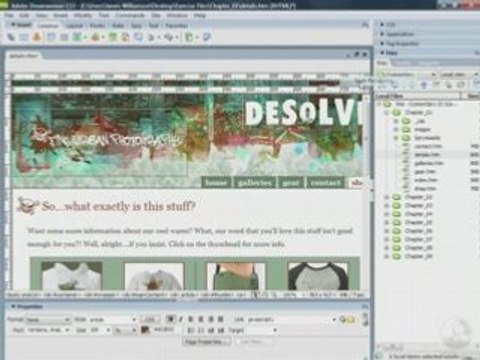 Dreamweaver CS3 Projects Creating Custom Spry Widgets 3