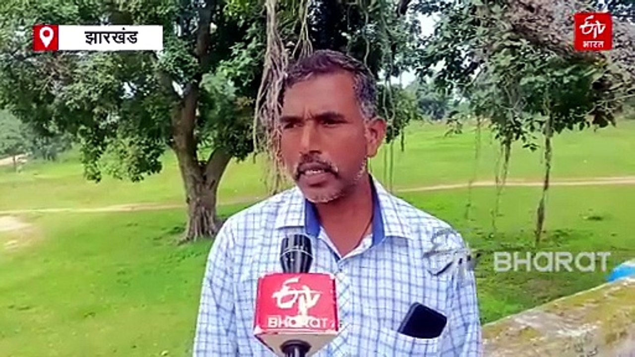 लातेहार में आदिवासियों के लिए किसी वरदान से कम नहीं है 'मददी प्रथा', एक दूसरे के लिए रहती है सहयोग की प्रबल भावना