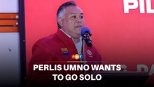 Perlis Umno wants to go solo at next polls, says PN incompetent