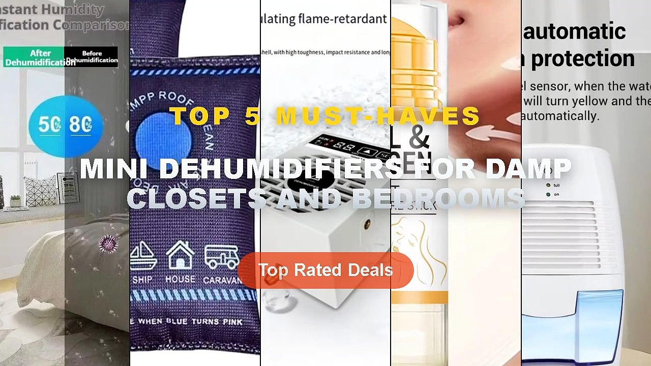 Don't Buy Mini Dehumidifiers For Damp Closets A...