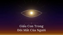 Giấu Con Trong Đôi Mắt Của Người