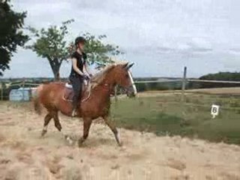 DSCF2365