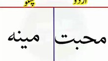 Learn Pashto into Urdu language | lesson # 61