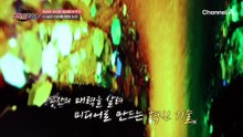 공간의 매력을 살려 상가를 홍보한다?! 투명 디스플레이 제조 공정 대공개