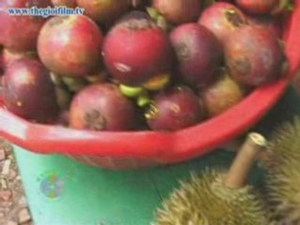 TheGioiFilm.tv_SGLucTinhDongNai2-7