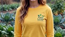 Spinach Organic Non Gmo Vegetables