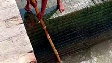 New style fish catching