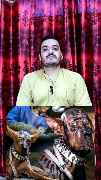بے شک اللہ نے انسان کو اشرف المخلوقات بنایا ہے